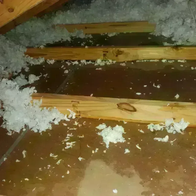 Attic Water Damage in Sun Village, CA